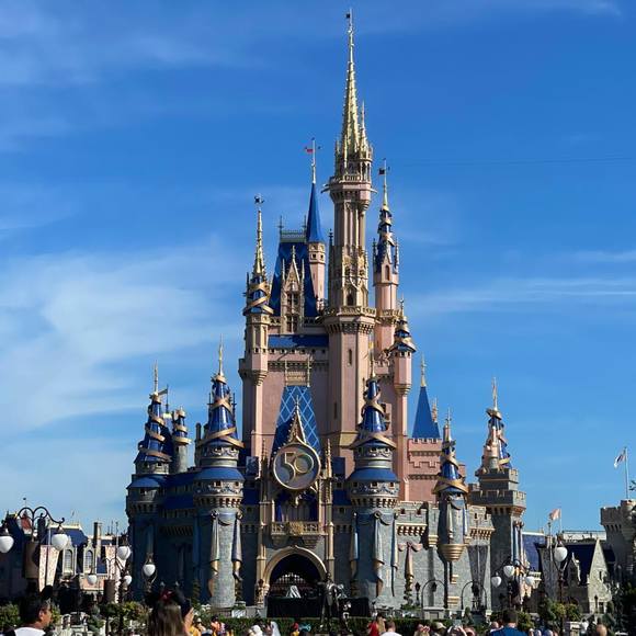 Meet your Posher, Sandy - Picture 1 of 1